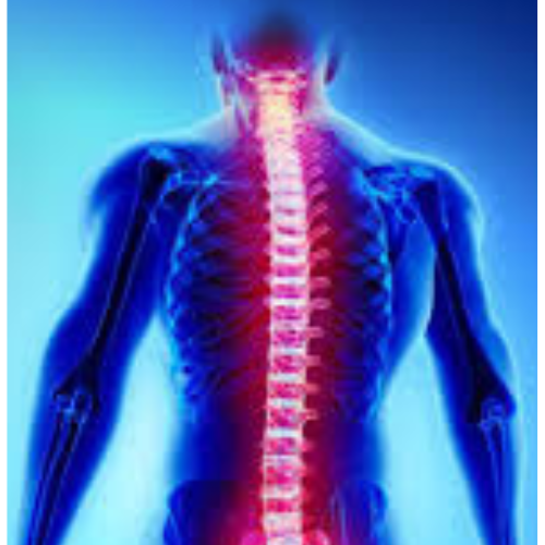 home physiotherapy service in dhaka